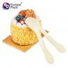 Hot sale new item disposable colorful ice cream disposable spoon