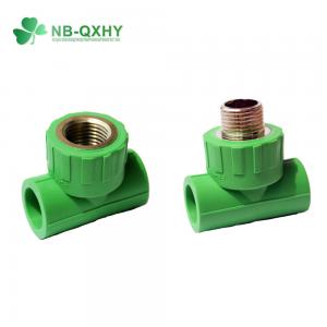 PPR Tee Forged Brass PPR Pipe Fitting Female Male for Hot Water Distribution System