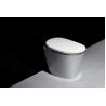 China Sifón Jet Flushing Bathroom Smart Toilet con el intercambio de la función de limpieza wholesale