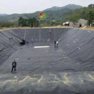 HDPE High Density Polyethylene Pond Liners 0.2mm-3mm Thickness