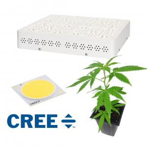 Iron And Aluminum Body Cob Cree Led Grow Light 400W Full Spectrum