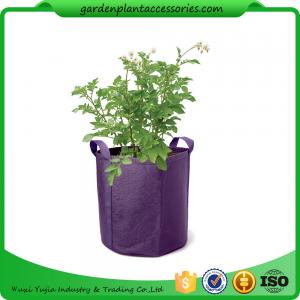 China Easy Assembly Hanging Grow Bags supplier