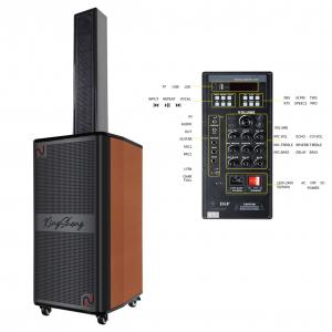 Dual 10 Inch Linear Array Speaker 200W Professional Bass Subwoofer Speaker