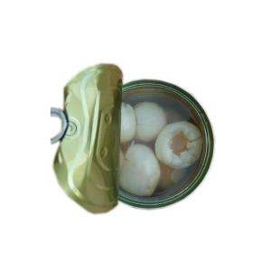 China 567g pode fruto enlatado alimento do lichi em inteiro claro do xarope quebrado supplier