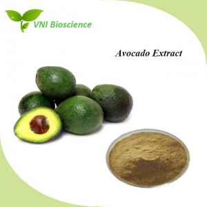 OEM Plant Herbal Extract Slimming Avocado Extract Phytoxanthin