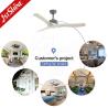 China Pure Copper Motor LED Ceiling Fan with Remote Control and App Control Modern Design wholesale