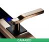 CAMA-C010 Biometric Security Door Lock For Entrance Access Control