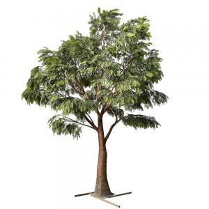 Anti UV Artificial Babul Trees For Outdoor Landscape Evergreen 5.5 Meters Fiber Glass