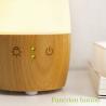Electric Ultrasonic Essential Oil Diffuser For Home Office Hospital