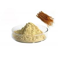 China 10% Ginsenosides Red Ginseng Extract on sale