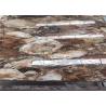 Petrified Wood Semi Precious Stone Slabs Smooth Surface Customized Cut