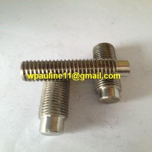 China SS321 set screws dog point cone point supplier