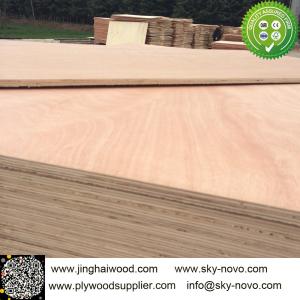 China rotary sapele veneer furniture plywood supplier