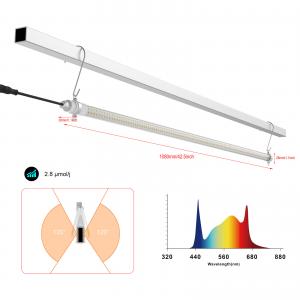 China Interlight Greenhouse LED Grow Light For High Wire Crops Boost Yield supplier