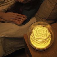 ED Night Light Aroma Oil Diffuser 400ml Humidifier Flower Shape White