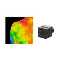 China 384x288 17um Infrared Camera Core For Medical Thermography on sale