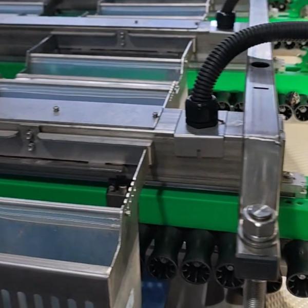 Smart Dates Sorting Machine With 304 Stainless Steel, High Output 2.6 Tons per hour, 8 lanes+10 outlets, Automatic