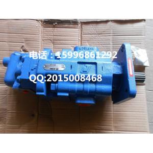 XCMG SPARE PARTS working pump 803004128