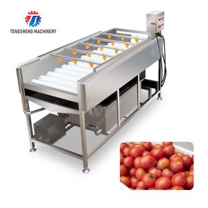 China Potatoes and round tuber crops Carrots and longitudinal root vegetables Onions Ginger Carrot Taro Sweet potato Yam Potato Saiko persimmon Parallel Brush Machine Wash Washer Washing Cleaning wholesale