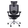 China Rolling Desk Chair with 5D Armrest 3D Lumbar Support Swivel Office Chairs wholesale