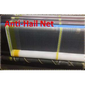 China Hail Net /Hail Protection Net/ Anti-Hail Netting wholesale