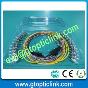 ST SM 12cores Fiber Pigtail with PVC LSZH