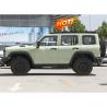 China Changcheng Tank 300 2024 2.0t Conqueror Car Seats 5 and Automatic Transmission System wholesale