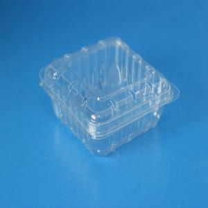 China Industrial Blueberry Plastic Packaging Box Container for Food in PE Bag and Carton supplier