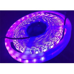 Purple UV 12v 24v Purple Led Light Strip 395nm UV Led Tape 5050 Smd