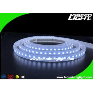 China Explosion - Proof Safety Led Flexible Ribbon Strip Lights with 5m 300 Leds 24V IP68 supplier