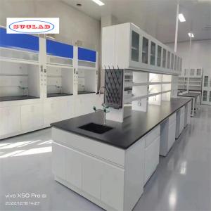 China Chemistry Lab Bench As Drawing Number of Holes and Hooks for Efficient Lab Management supplier