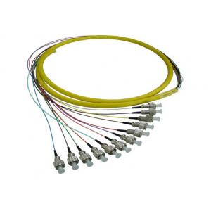 China Singlemode UPC Fiber Optic Pigtail with 12pcs FC Fiber Connectors supplier