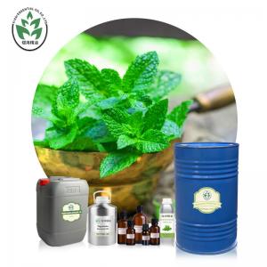 China Cas 68917 18 0 Wholesale Bulk Peppermint Essential Oil For Cosmetics/Massage Peppermints Oil supplier