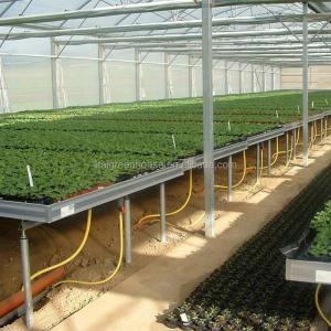 China Section 4m-5m Greenhouses The Ultimate Solution for Commercial Soilless Cultivation supplier