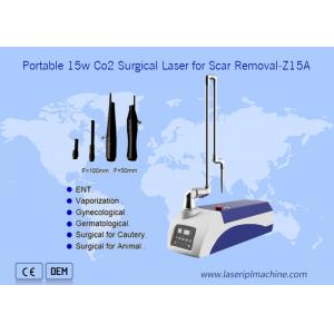 China Portable 10600nm CO2 Surgical Laser Skin Scar Removal Machine For Pets supplier