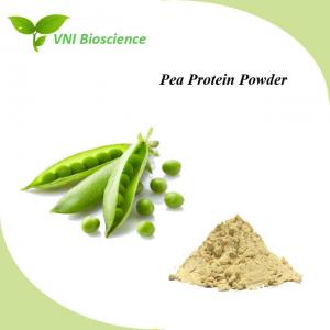 Nutritional Nature Food Additive Supplement Pea Protein Extract Powder