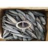 China 3ppm Histamine A Grade Bulk 250kg Frozen Bonito Fish wholesale