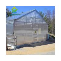 China Commercial Single Span Venlo Type PC Sheet Greenhouse Impact Resistant on sale