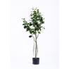China Ideal Artificial Topiary Trees Fabricated Tropical Landscapes For Hotel Decor wholesale