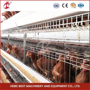 Durable Poultry Layer Cage 2 Nipple Drinker Over 25 Years Lifespan Mia