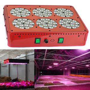 best selling products apollo 6 led grow light 1000 watt solar garden light