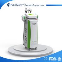 China latest technology 4 in1 slimming machine fat freeze slim freeze belt on sale