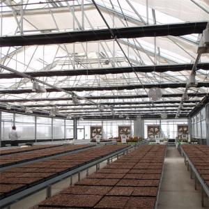 US Market Blackout Light Deprivation Tunnel Greenhouse Agriculture Single-Span Blackout Shading In Greenhouse