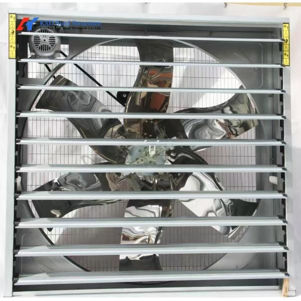 China Poultry Farm Chicken Feeding Line Automatic Poultry Pan Feeding System wholesale