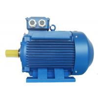 China High Voltage 3 Phase Induction Motor / Squirrel Cage Induction Motor on sale