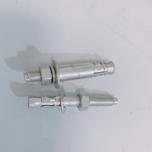 304 316 Stainless Steel Expansion Anchor Bolt Wedge Anchor M10 M12 Concrete Bolts