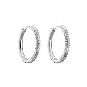 China Crystal 925 Sterling Silver Jewelry Hoop Huggie Earrings Unisex supplier
