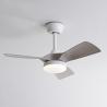 China Wholesale    Elevate Your Modern Living Space 32-Inch BLDC LED Ceiling Fan with Remote Control Silent 3-ABS Blade Design wholesale