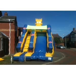 Exciting Commercial Inflatable Slide,  Cute Design Inflatable Slide For kids
