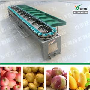 China Mango grading machine YSXD--66-8-86 supplier